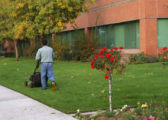 Man cutting grass at an office building