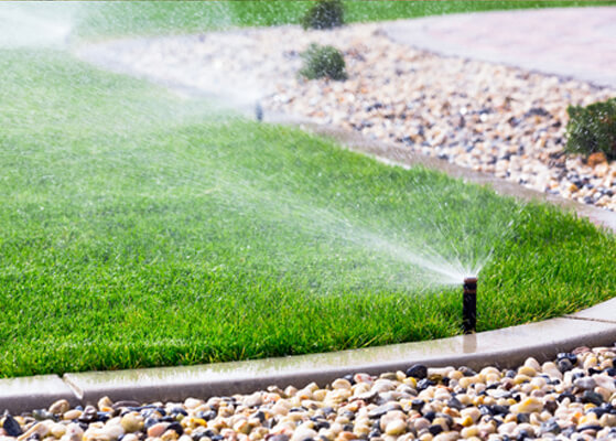 Underground sprinkler system watering grass